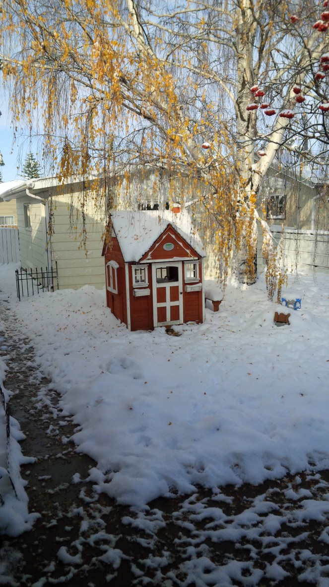 Contrast JAN 8 2019 image