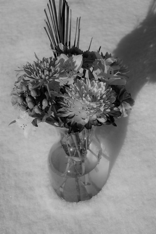 Contrast JAN 1 2019 image 1 of 3