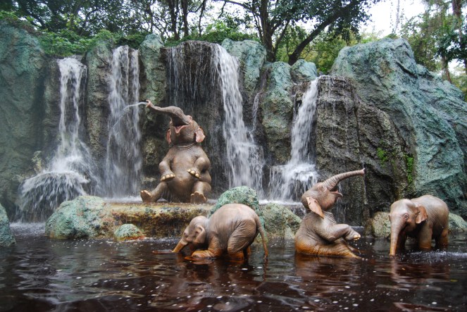 Contrast JAN 15 2019 image 4 fake vs real