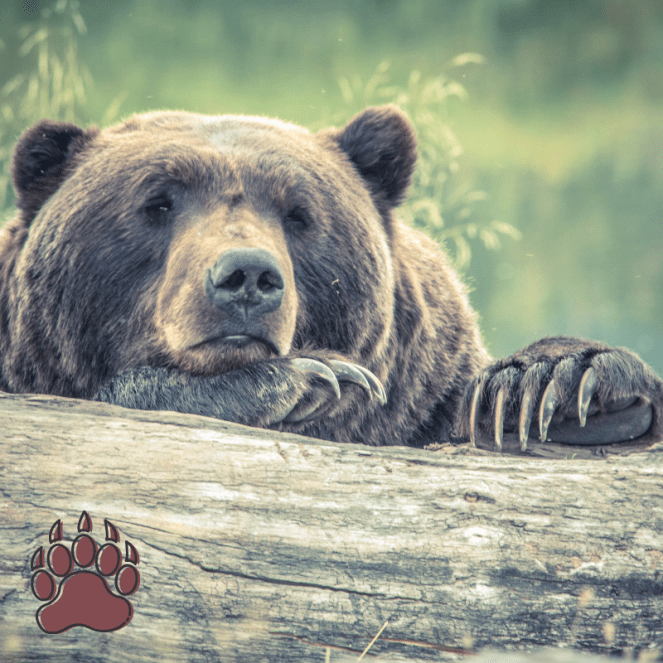 June 14 2019 image 1