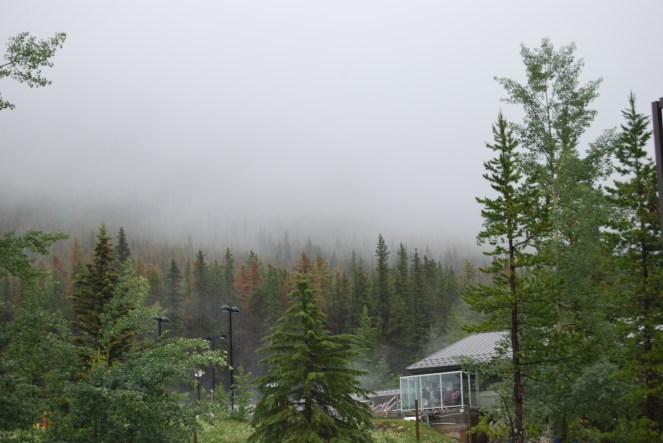 JUNE 24 2019 image 1