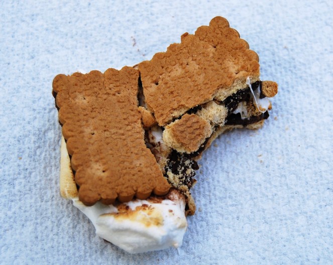 June 27 2019 image 5