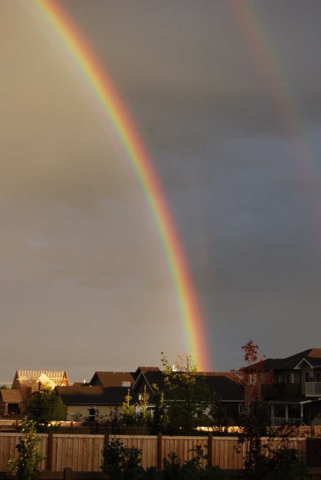 Summer AUG 9 2019 image 3