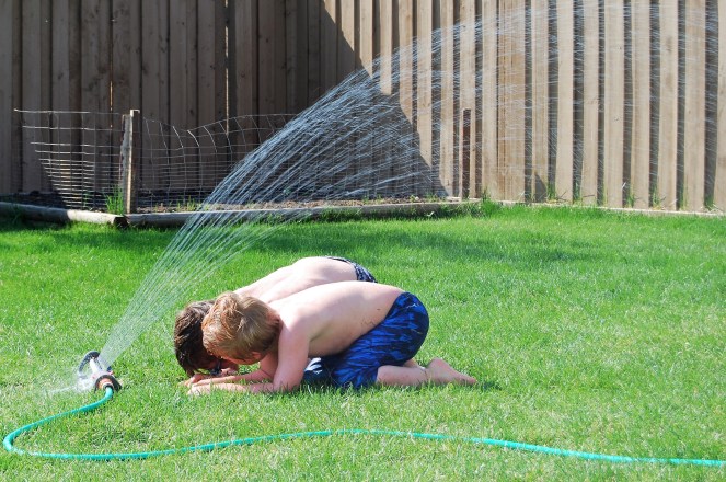 Summer August 15 2019 image