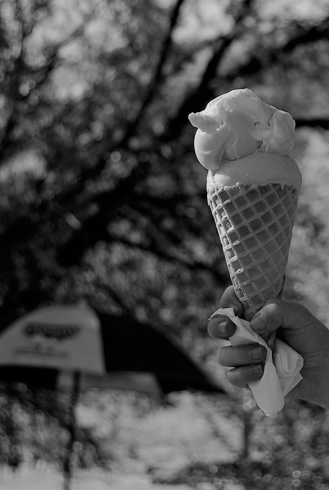 Summer August 8 2019 image 1 The Waffle Cone (2)