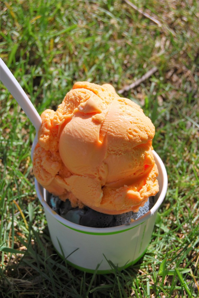 Summer August 8 2019 image 3 Mango in the Grass