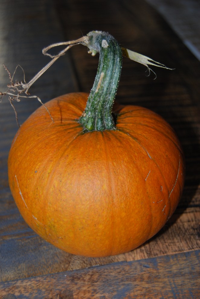 SEPT 26 2019 image 2 (2)